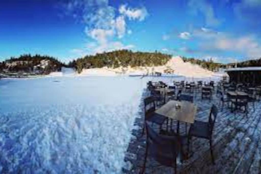 T2 Pour 4 Pers Style Chalet Pied Des Pistes Bolquere Pyrenees 2000 Exterior foto